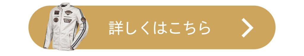 おすすめ | メッシュジャケット | デグナー | バイク |  |バイクジャケット | ツーリング |  メンズ |  レディース |  | 夏 | バイク ジャケット | 特集 | DEGNER |　フルメッシュジャケットで安全・快適に楽しもう！ | 夏 | バイク ジャケット | 特集 | DEGNER |　フルメッシュジャケットで安全・快適に楽しもう！ | 夏 | バイク ジャケット | 特集 | DEGNER |